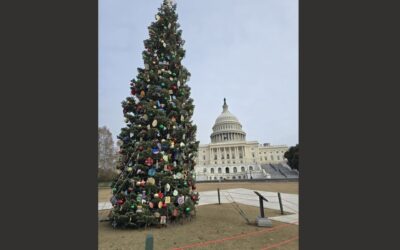 Trump will leave an indelible mark on Washington DC’s architecture; one tour proved it