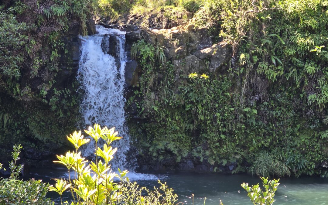 Going to Maui (Hawaii)? Part I — Tips – Who and what to bring and why bigger is better