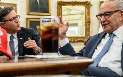 From Insult to Farce, Democrat Anti-SAVE Act Crusade Is Beyond Pathetic