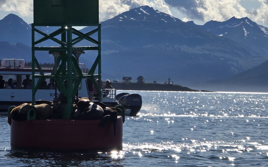 Alaska Cruise Review Part IV — Alaska ports of Call – Juneau. Alaska Capitol, Tracy’s King Crab Shack and Whale watching
