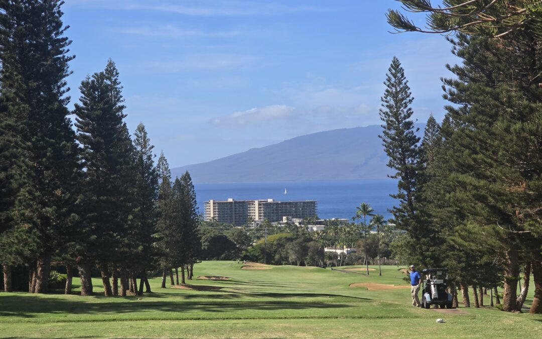 Going to Maui? Part IV – Plan golf in Hawaii? — and what you can’t do without (hint: it’s Costco membership)