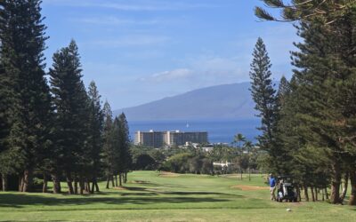 Going to Maui? Part IV – Plan golf in Hawaii? — and what you can’t do without (hint: it’s Costco membership)