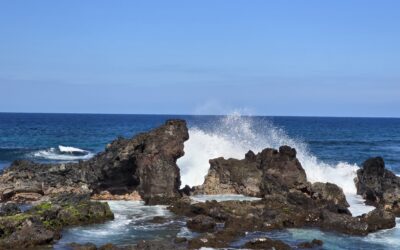 Going to Maui (Hawaii)? Tips, Part II – Saving money in Hawaii, and Lahaina offers sadness… and hope