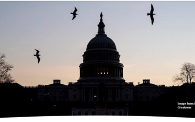 What If Democrats Are Responsible for Everything Bad That Happens?