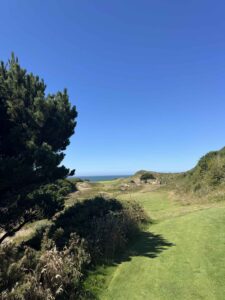 PacificDunesMatthew2