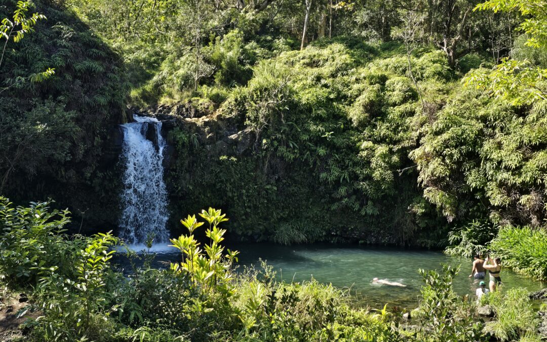 Going to Maui? Part VI – Hana Highway is as bad – or as awesome – as you want it to be