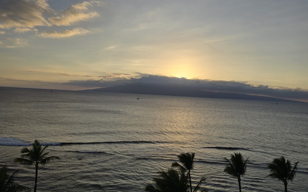 Going to Maui? Part VII – Hana highway substitute offers views without the carsickness; plus, Maui Wine