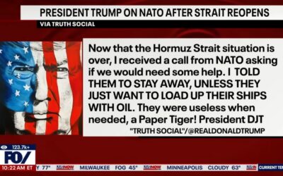 With friends like NATO, who needs America’s Islamic apologists?