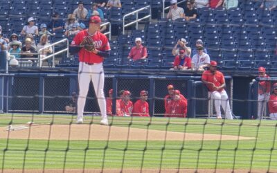 Florida Spring Part I – Family friendly major league baseball spring training and why we decided to avoid Disney