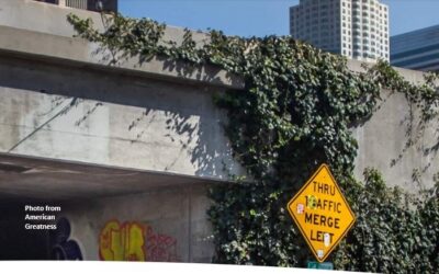Can California Still Be Saved?