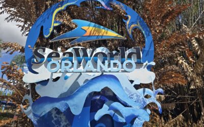 Non-Disney Florida Excursion, Day Five — Sea World; trick show entertainment with modern amusement park thrills