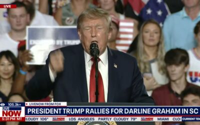 Trump pleads with GOP voters to show up for midterm elections: ‘Pretend I’m on the ballot’