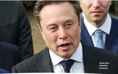 Why Do They Despise Musk?